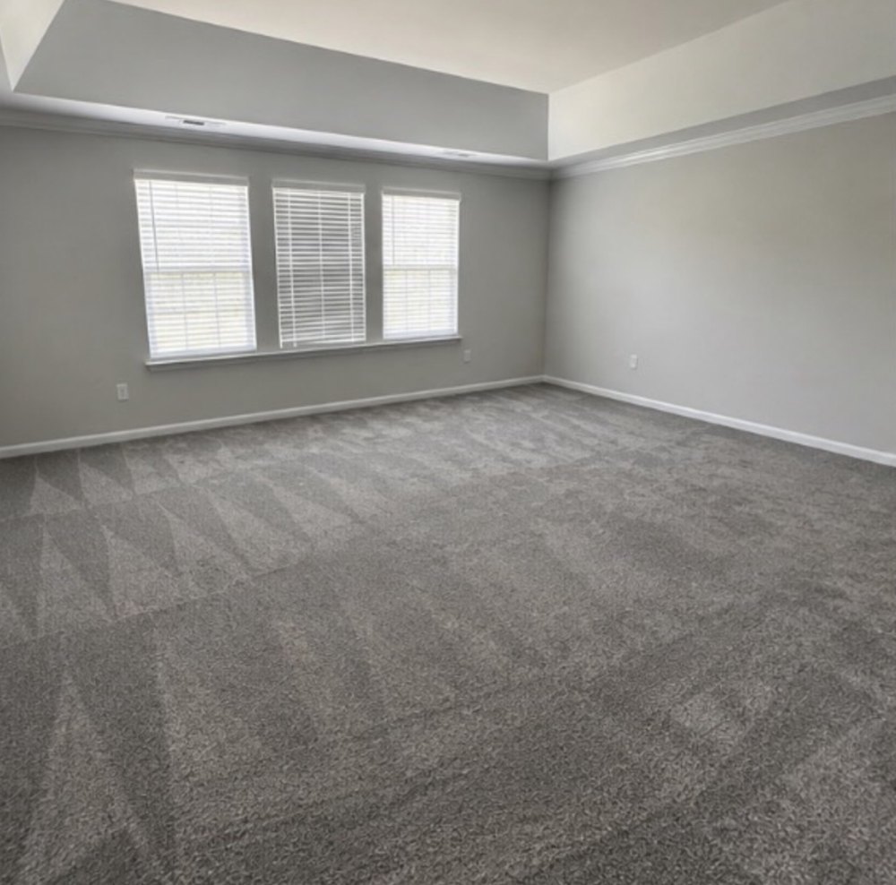 An empty room with grey carpet and three windows